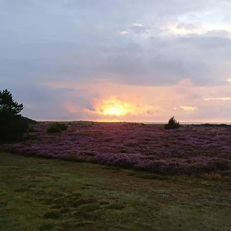 8 Person In Laeso-by Traum Tatil Evi