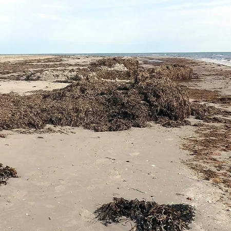 Tatil Evi 8 Person In Laeso-by Traum